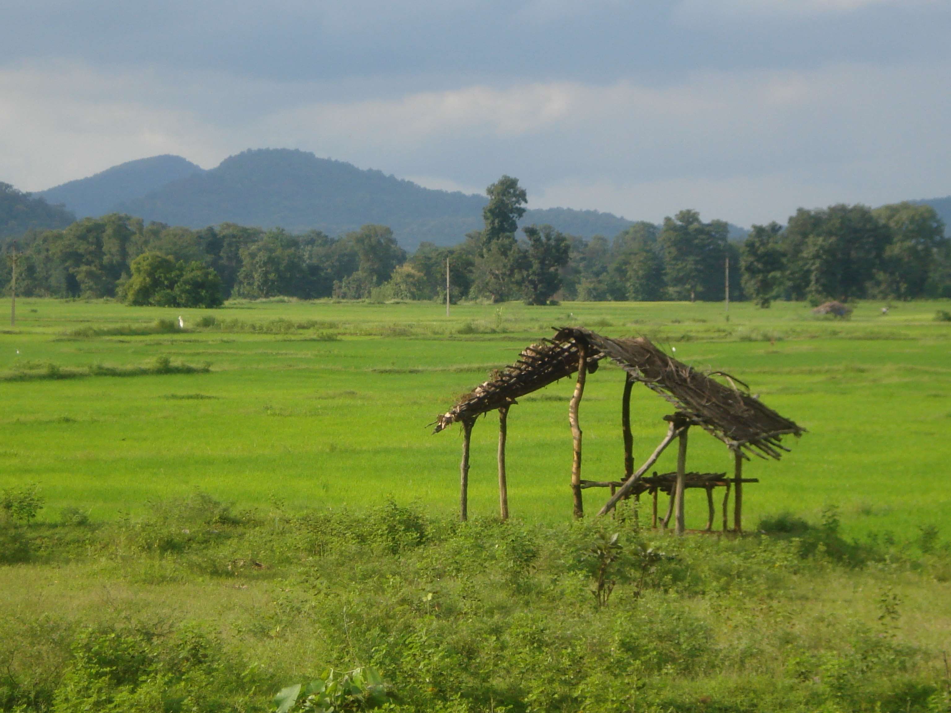 Agriculture farmer field hut india indian hut indian village k wallpaper hdwallpaper desktop indian village village agriculture