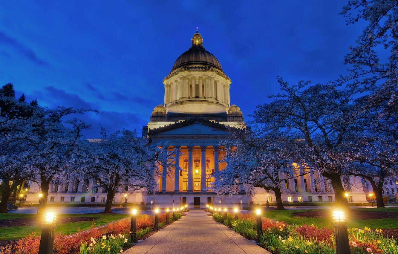 Wallpaper trees flowers night the city lighting backlight track columns washington usa capitol architecture the dome olympia images for desktop section ððñðð