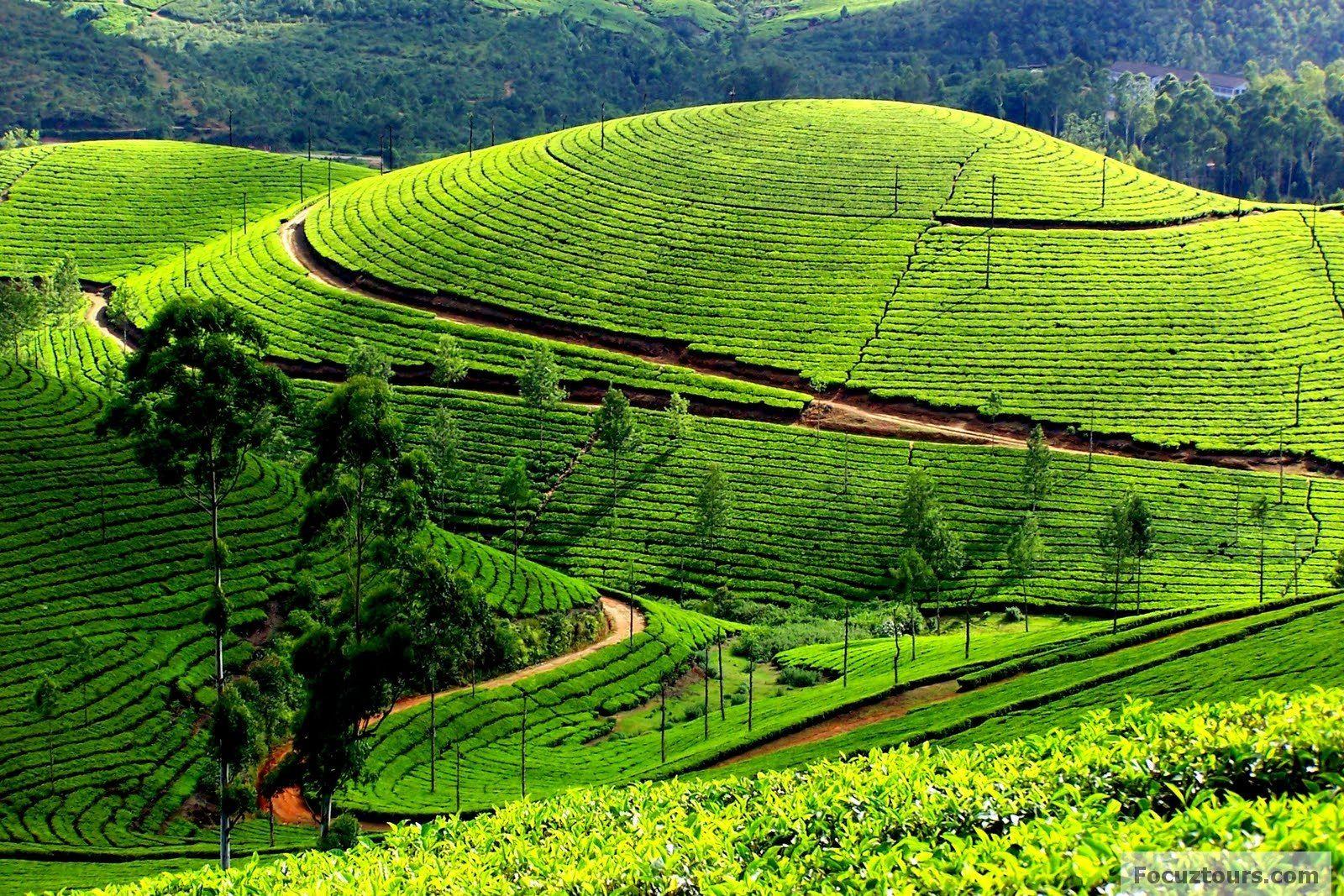 Ooty k desktop wallpapers