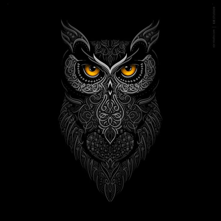 Owl modern arabic calligraphy by eje studio owl wallpaper owl artwork owl