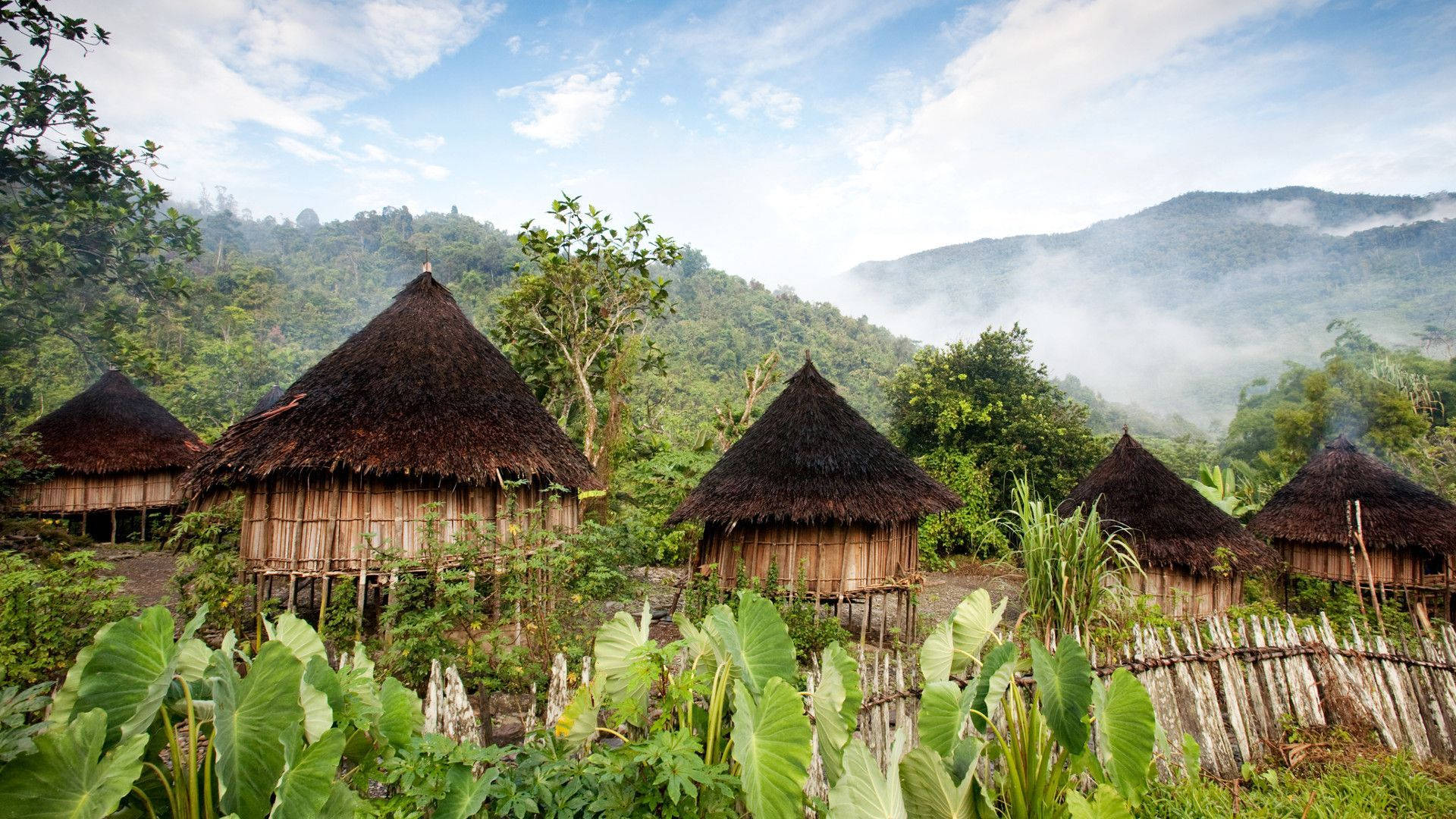 Download papua new guinea huts wallpaper