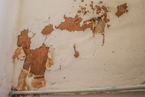 Damp walls guide