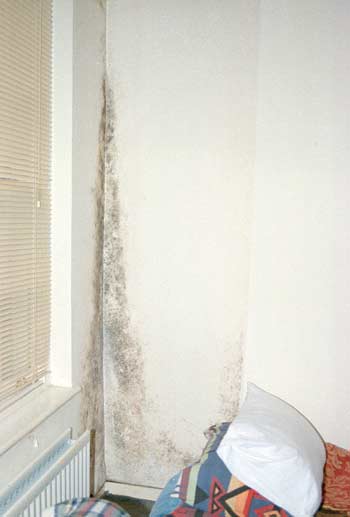 Rising damp causing condensation