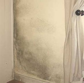 How to stop condensation mould in the home diy doctor