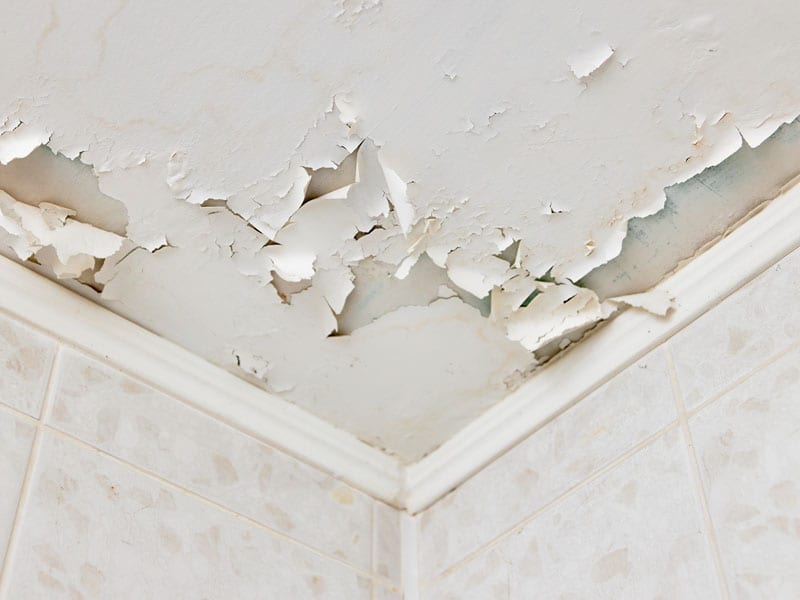 How to fix peeling paint on a ceiling in steps