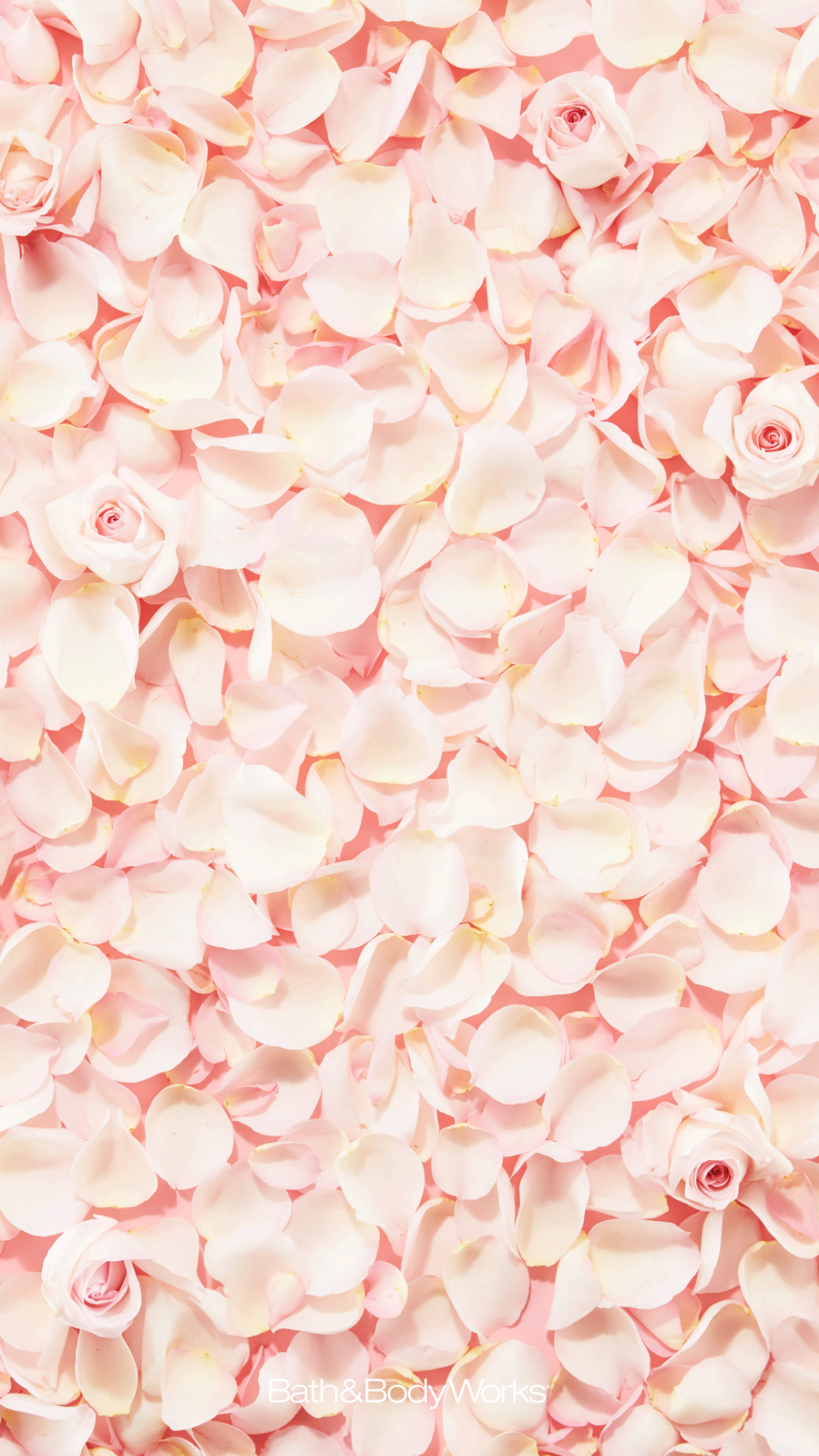 Rose petals iphone wallpaper background teal wallpaper iphone iphone wallpaper tumblr aesthetic wallpaper backgrounds