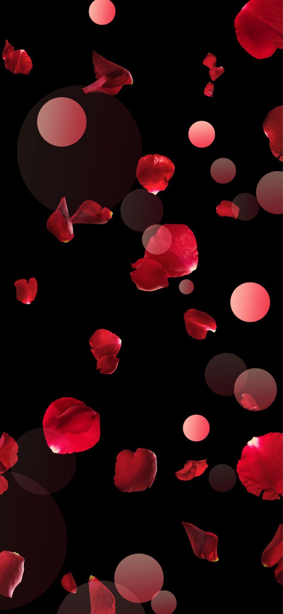 Flower petals wallpapers