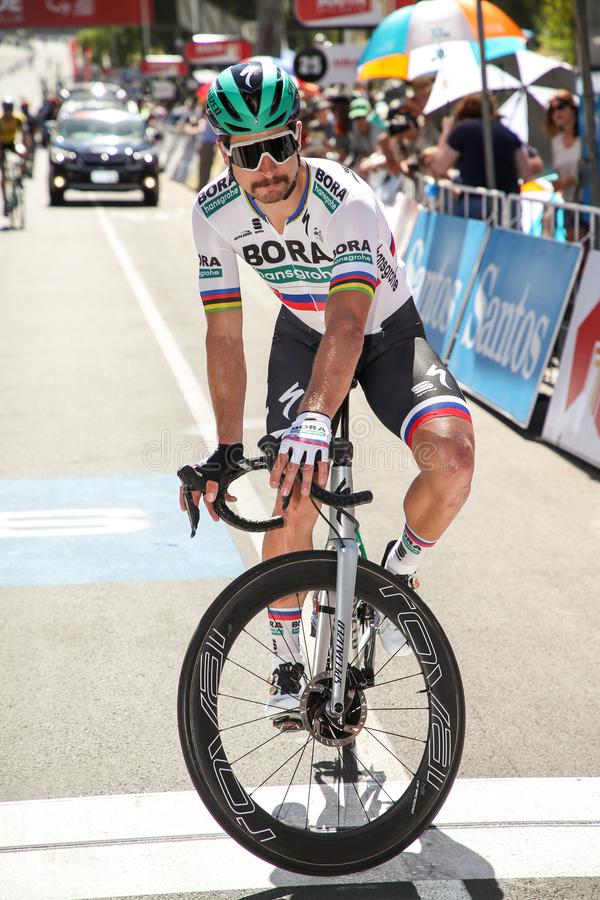 Peter sagan stock photos