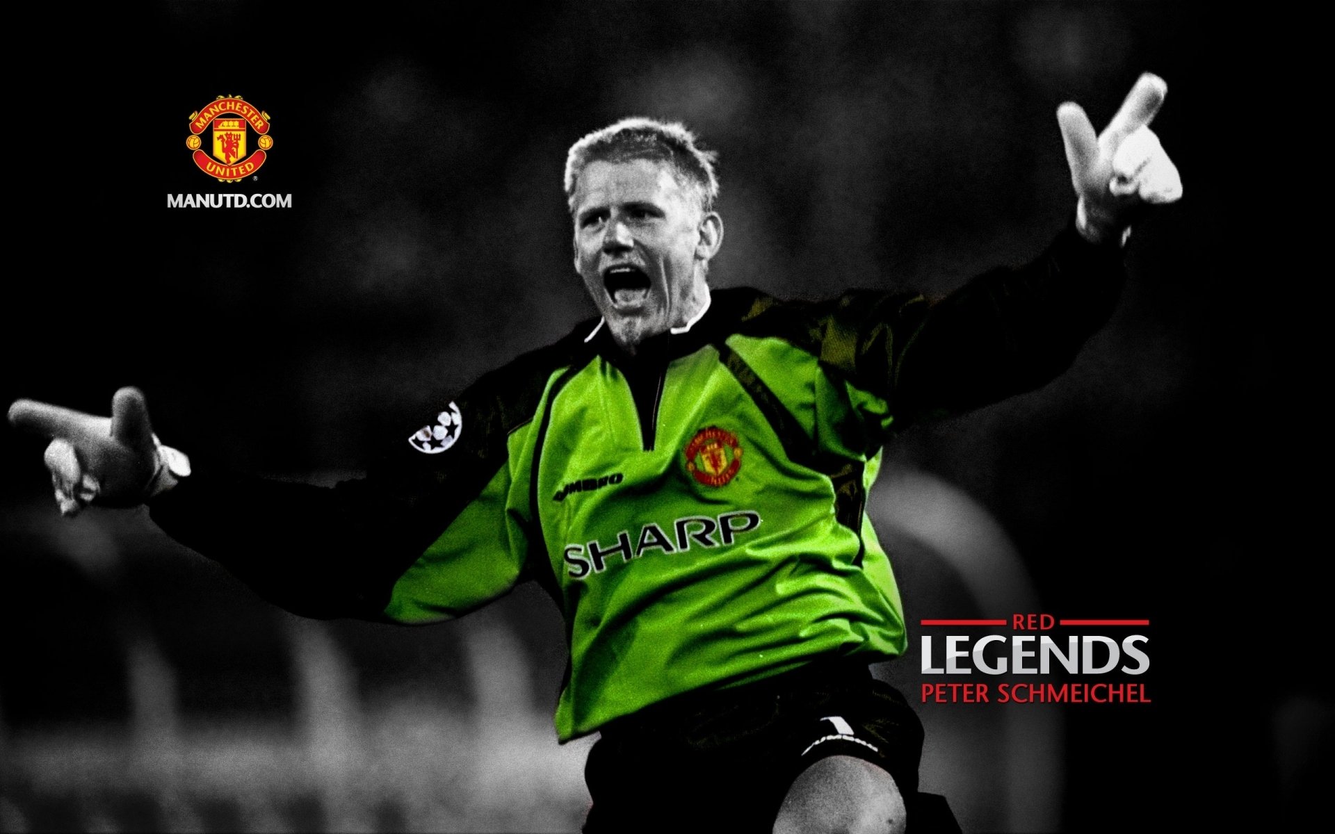 Peter schmeichel hd papers und hintergrãnde