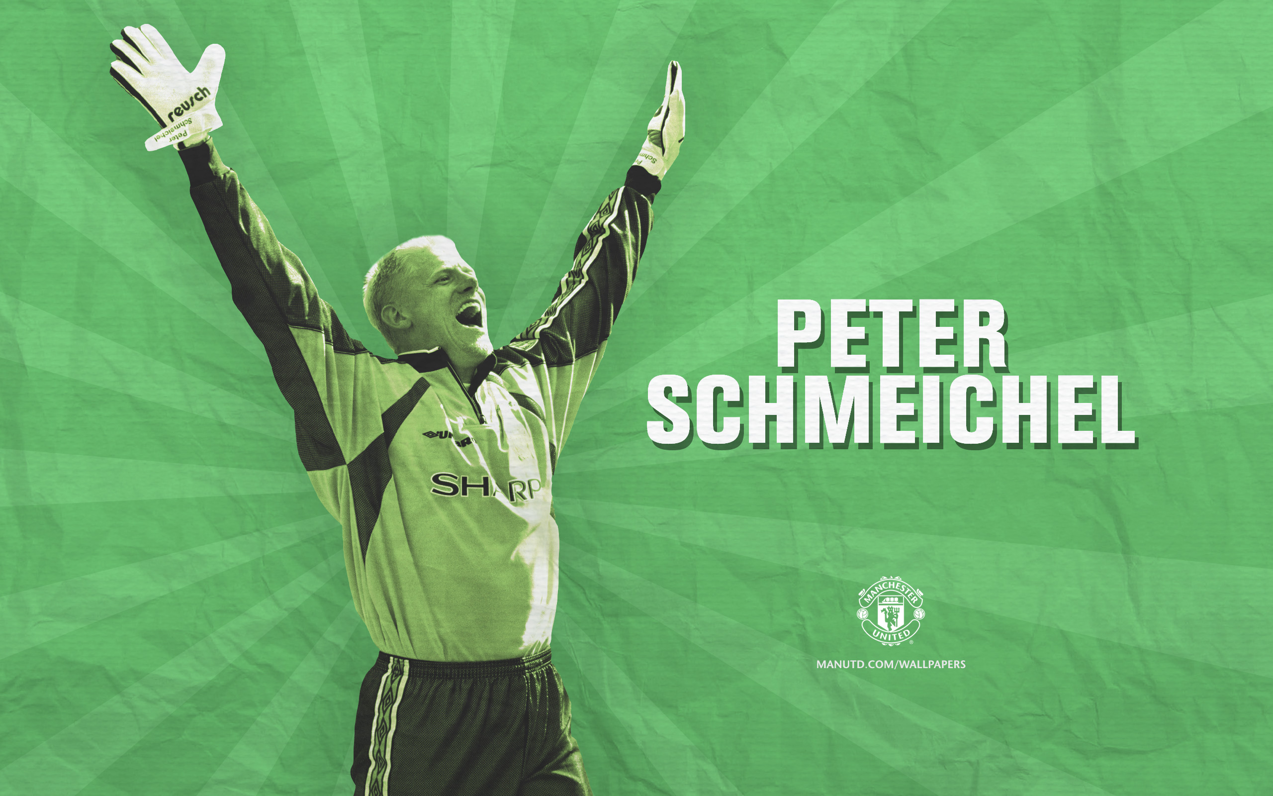 Peter schmeichel hd papers and backgrounds