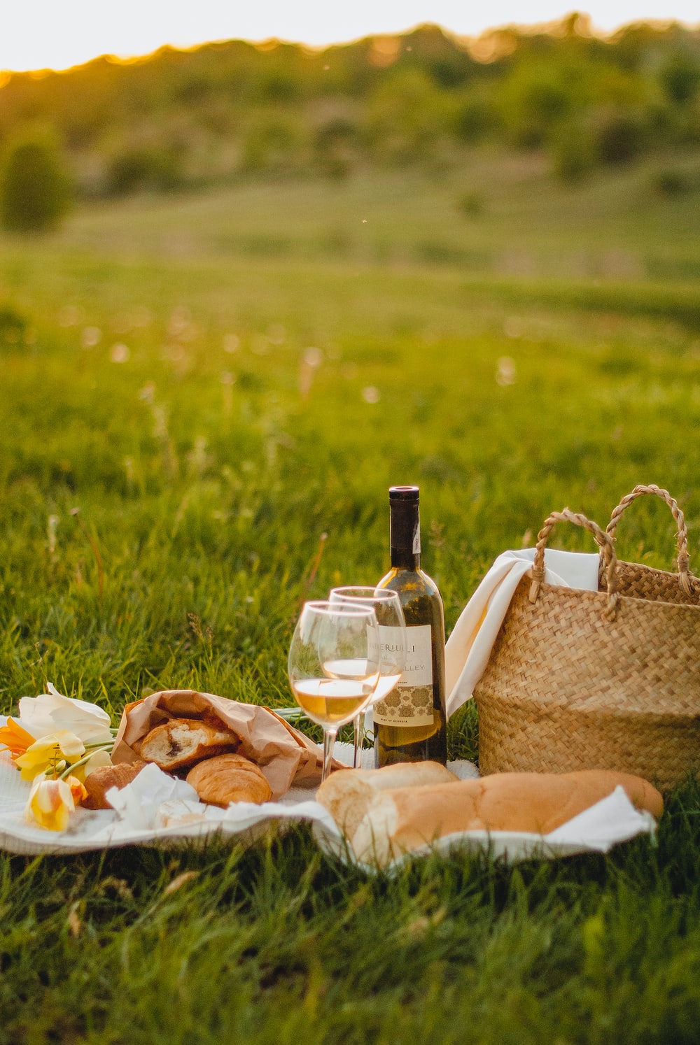 Picnic pictures download free images on