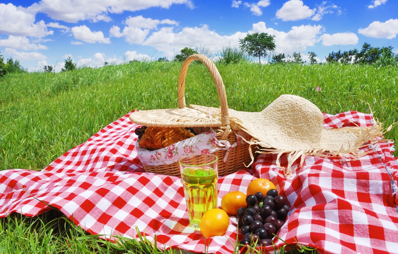 Wallpaper summer glade fruit picnic basket picnic day images for desktop section ððñññððµððñ