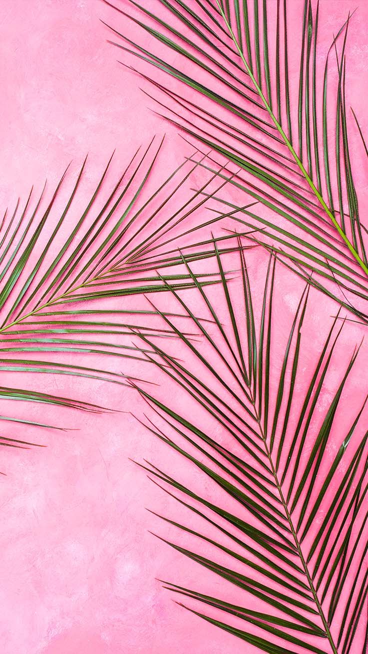 Super pretty wallpaper backgrounds for iphone youll love pink wallpaper iphone pretty wallpapers preppy wallpaper