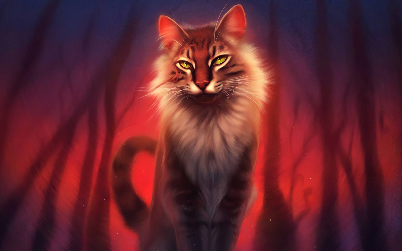 X warrior cat k p hd k wallpapers images backgrounds photos and pictures