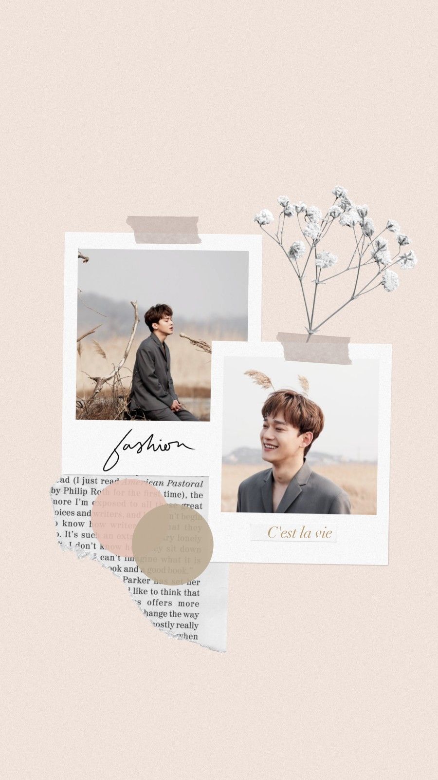 Chen beige aesthetic wallpaper pengeditan foto kartu kertas fotografi alam