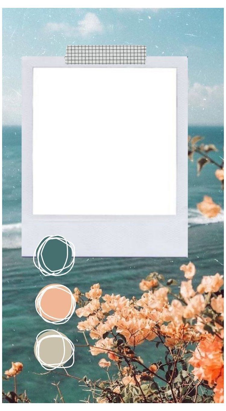 Frame edit aesthetic png frame edit aesthetic png polaroid template wallpaper kelas a wali kâ ððñððºððððð ñðððºð ðððºðµññ ñðñððñðñðð ððñððñðñðð ð