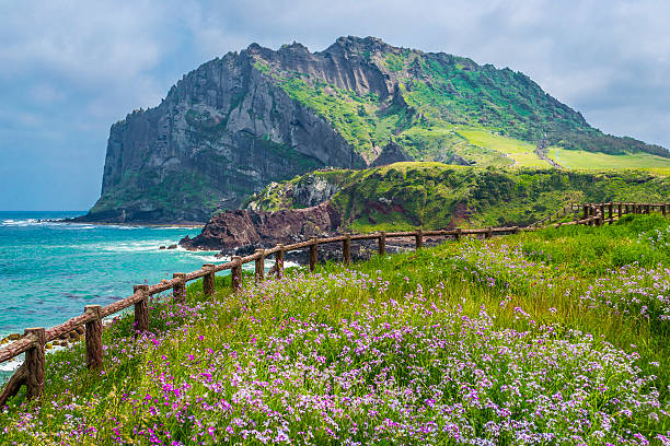 Jeju island stock photos pictures royalty