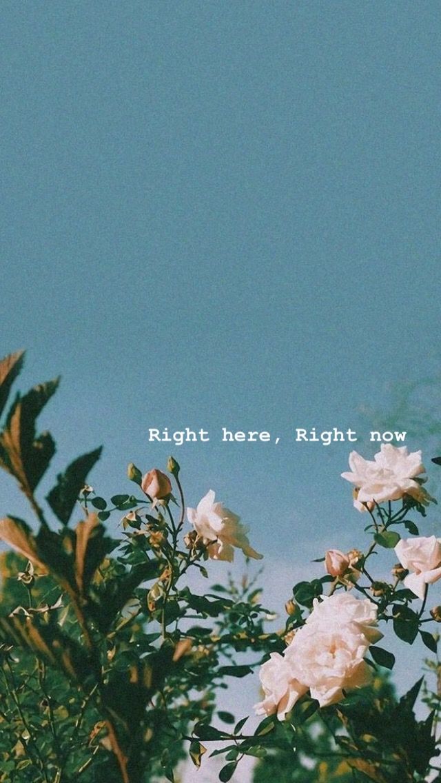 Right here right now floral wallpaper iphone wallpaper vintage aesthetic backgrounds tumblr wallpaper