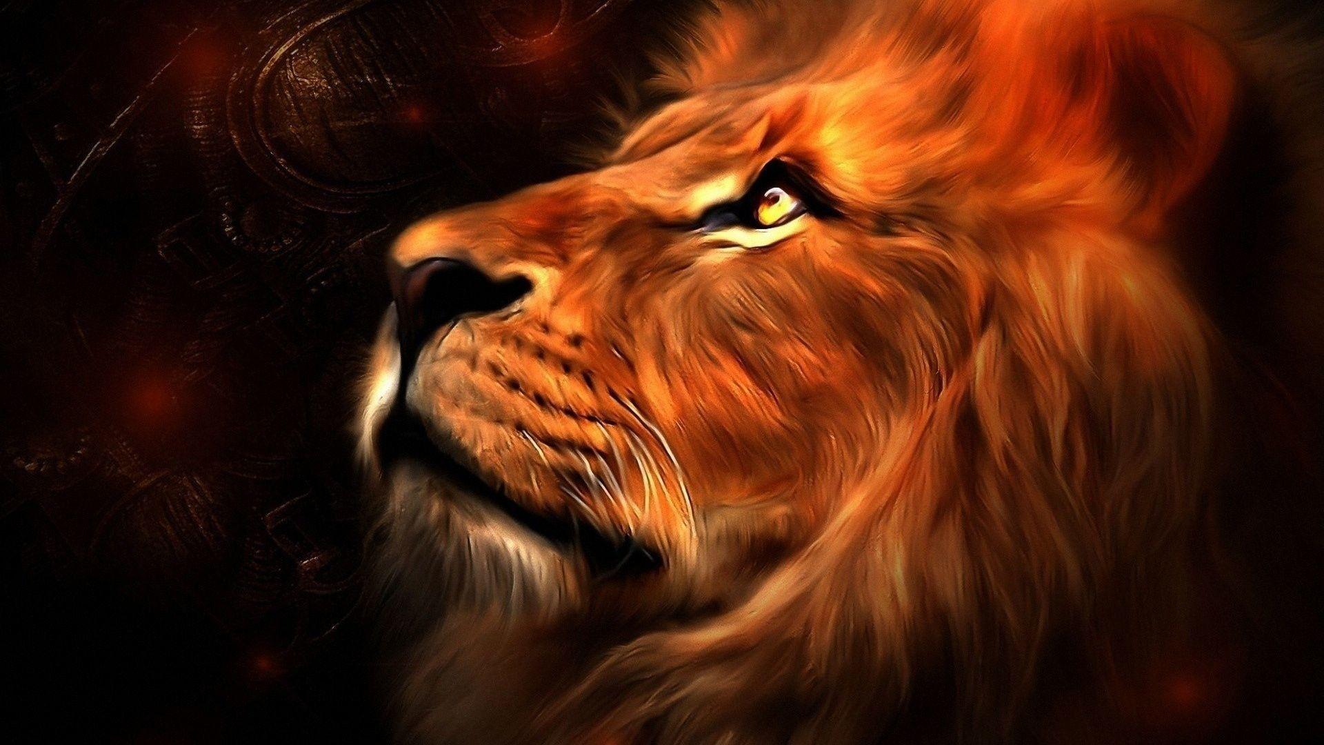 Burning lions hd wallpapers