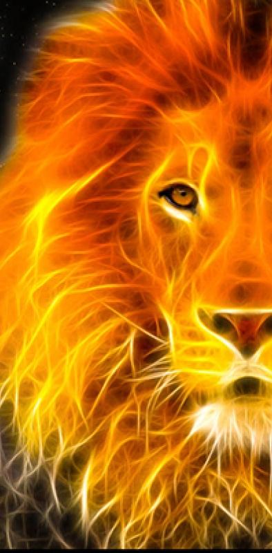 Fire lion wallpaper by sphinxlars