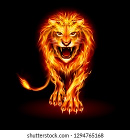 Fire lion images stock photos vectors