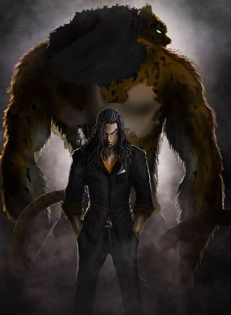 Rob lucci artwork one piece manga anime one piece personajes one piece