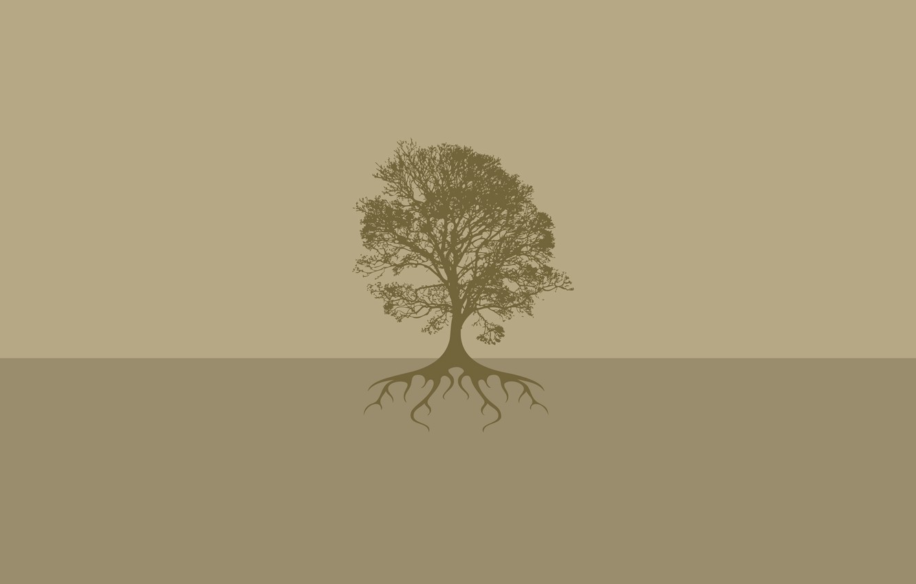 Wallpaper roots tree silhouette crown images for desktop section ððððððððð