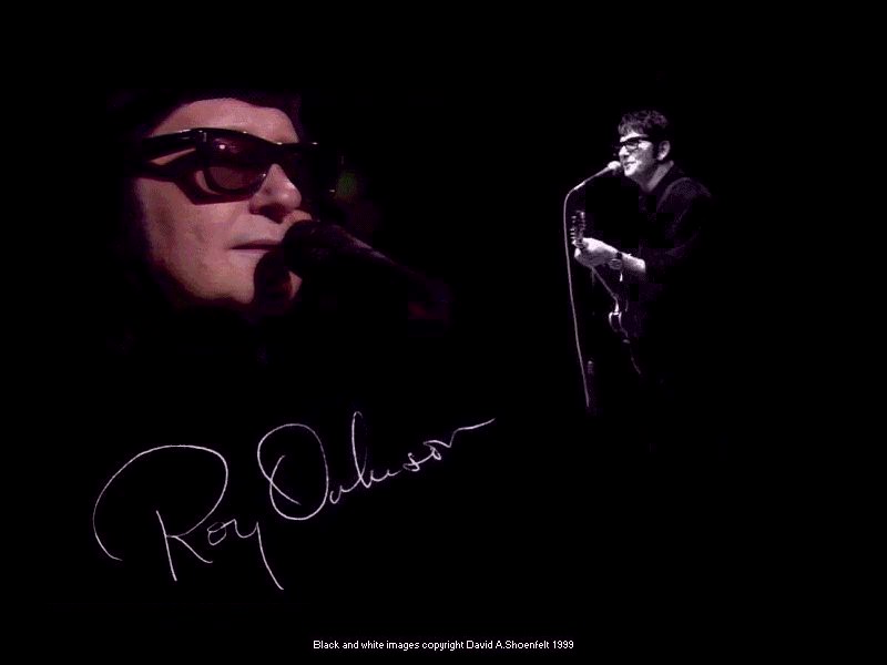 Roy orbison wallpaper