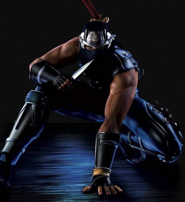 Ninja gaiden series ninja gaiden ryu hayabusa ninja art