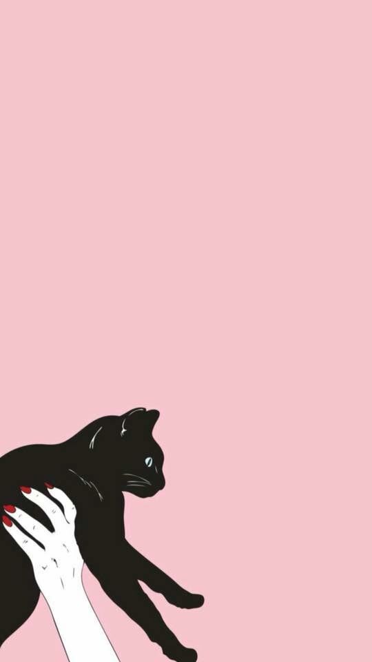 Salem â iphone wallpaper cat art wallpaper cat art