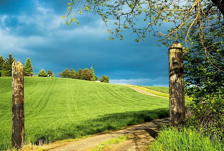 Hd wallpaper green grass field take me home oregon salem area scenery wallpaper flare scenery wallpaper scenery grass field