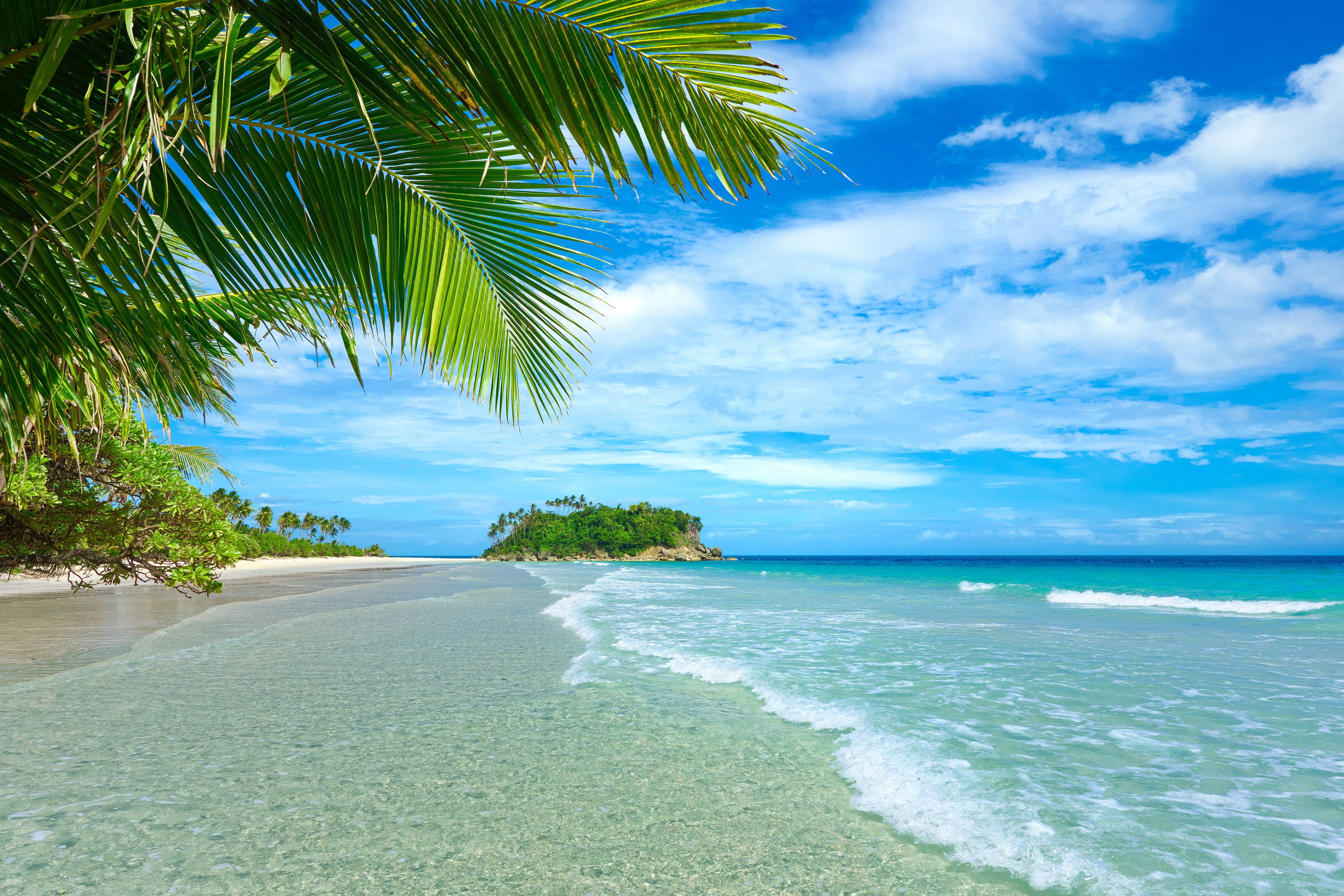 Beach shore plants landscape tropical sea palm trees beach clouds k wallpaper hdwallpaper desktop pohon palem lanskap pulau