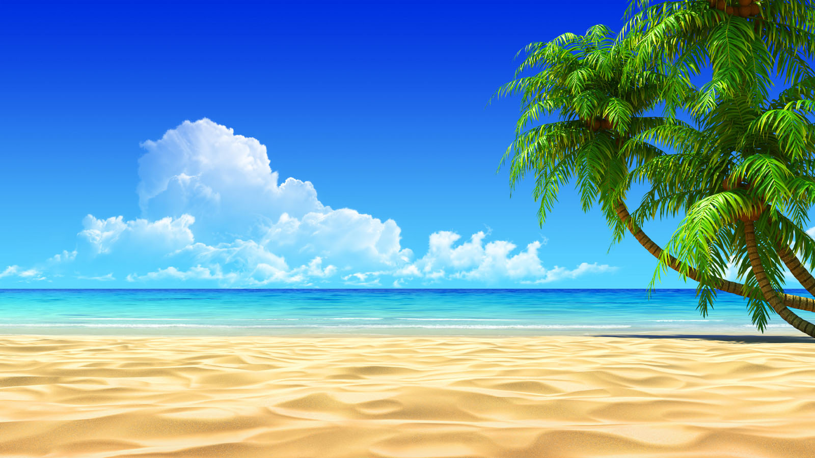 Beautiful beach wallpapers for your desktop mobile and tablet