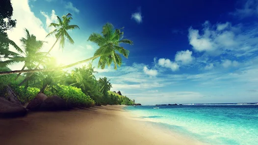 Beach live wallpaper â apps bei