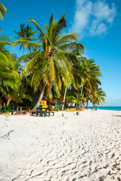 Johnny cay on the reef of san andres island colombia stock photo