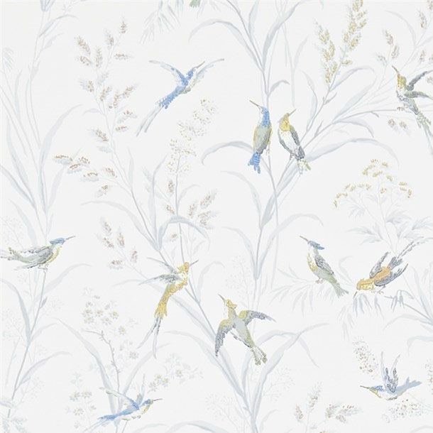 Download Free 100 + wallpaper sanderson birds