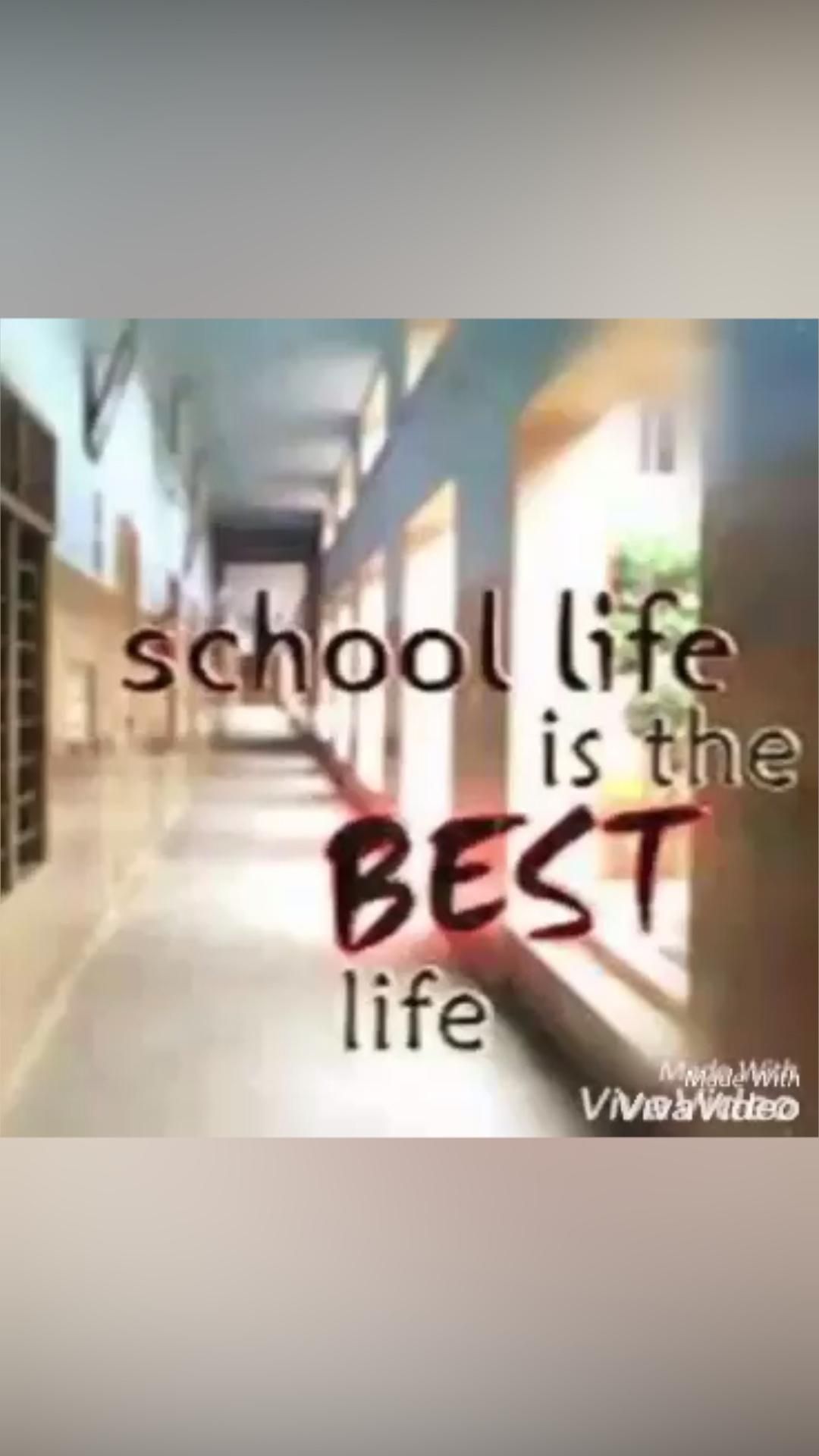 School life an immersive guide by ðâ ðð ð