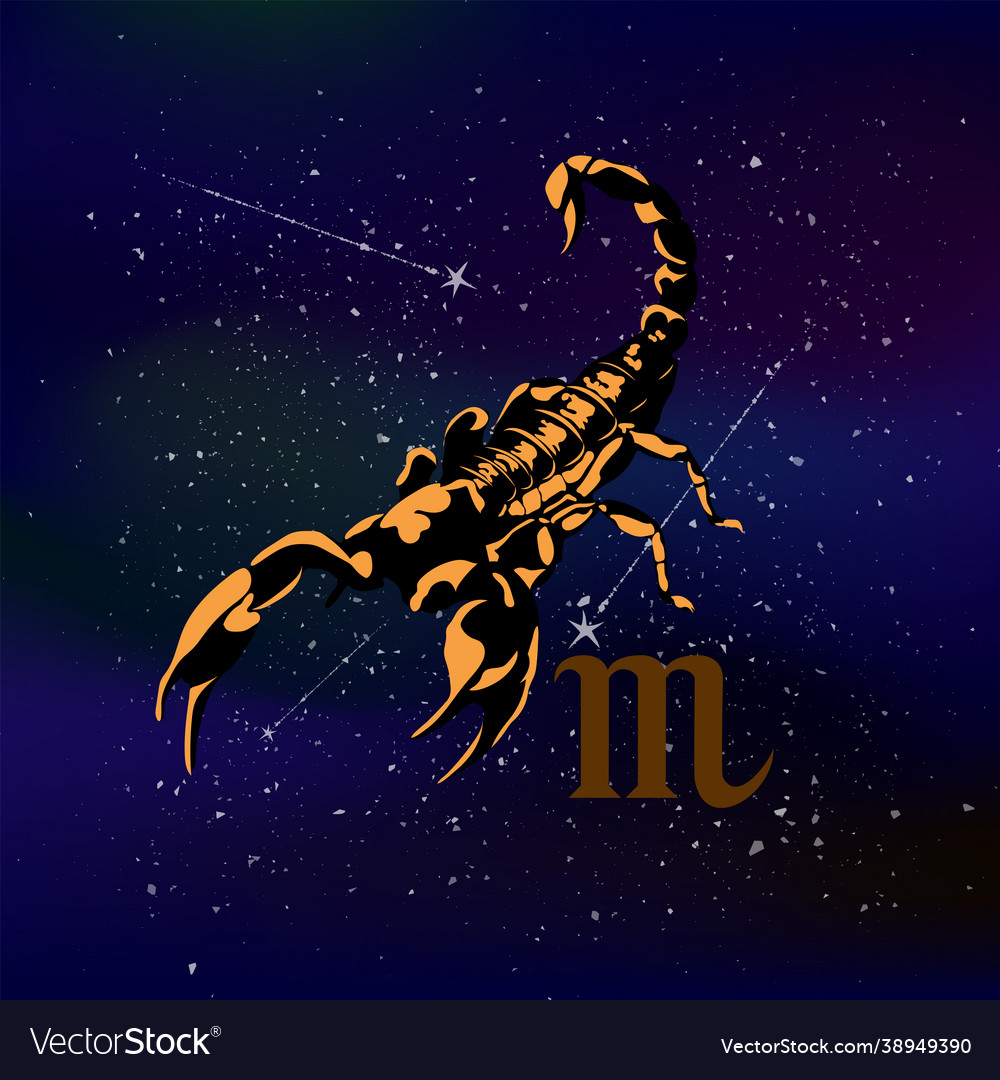 Zodiac sign scorpio on background endless vector image