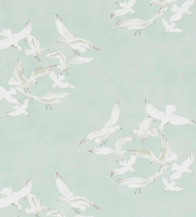 Download Free 100 + wallpaper seagulls