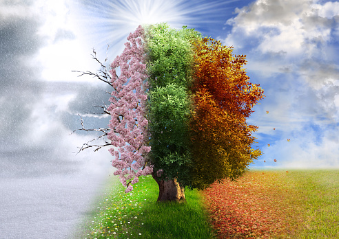 Seasons change pictures download free images on