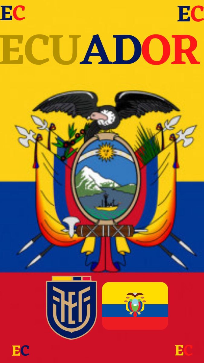 Selecciãn ecuador wallpaper