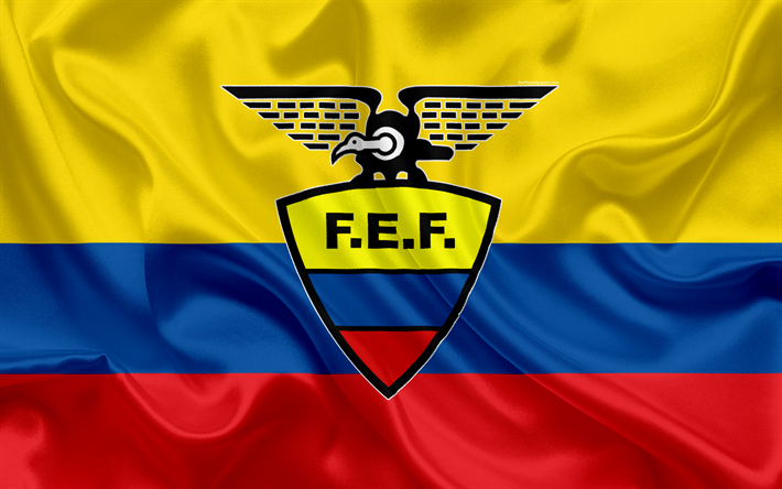 Download wallpapers ecuador national football team logo emblem ecuadorian flag football federation world championship football silk texture for desktop fâ figurinhas da copa esportes equador