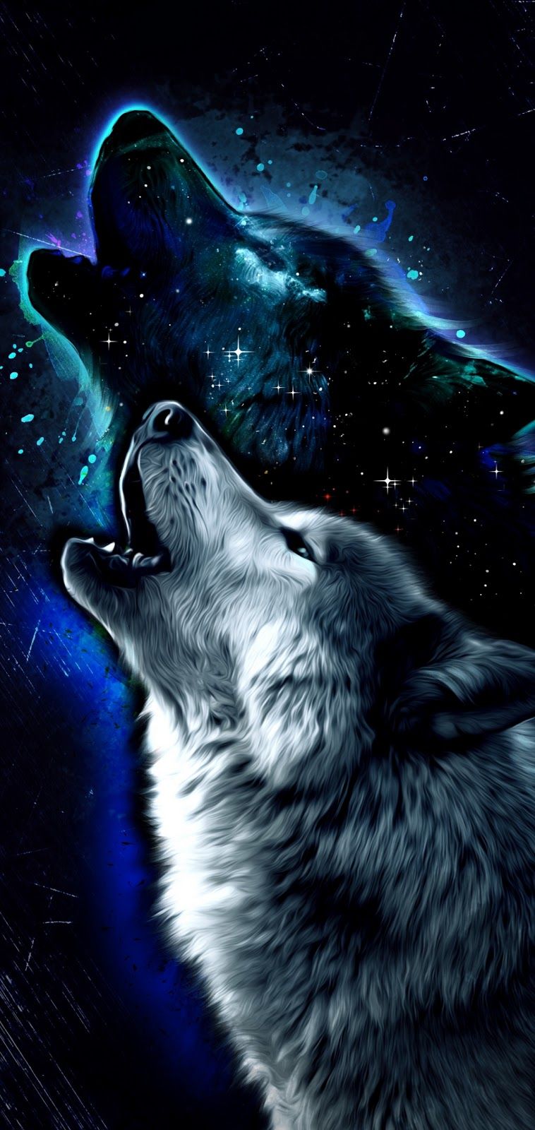 Wallpaper animal wolf x hd ddwdesign