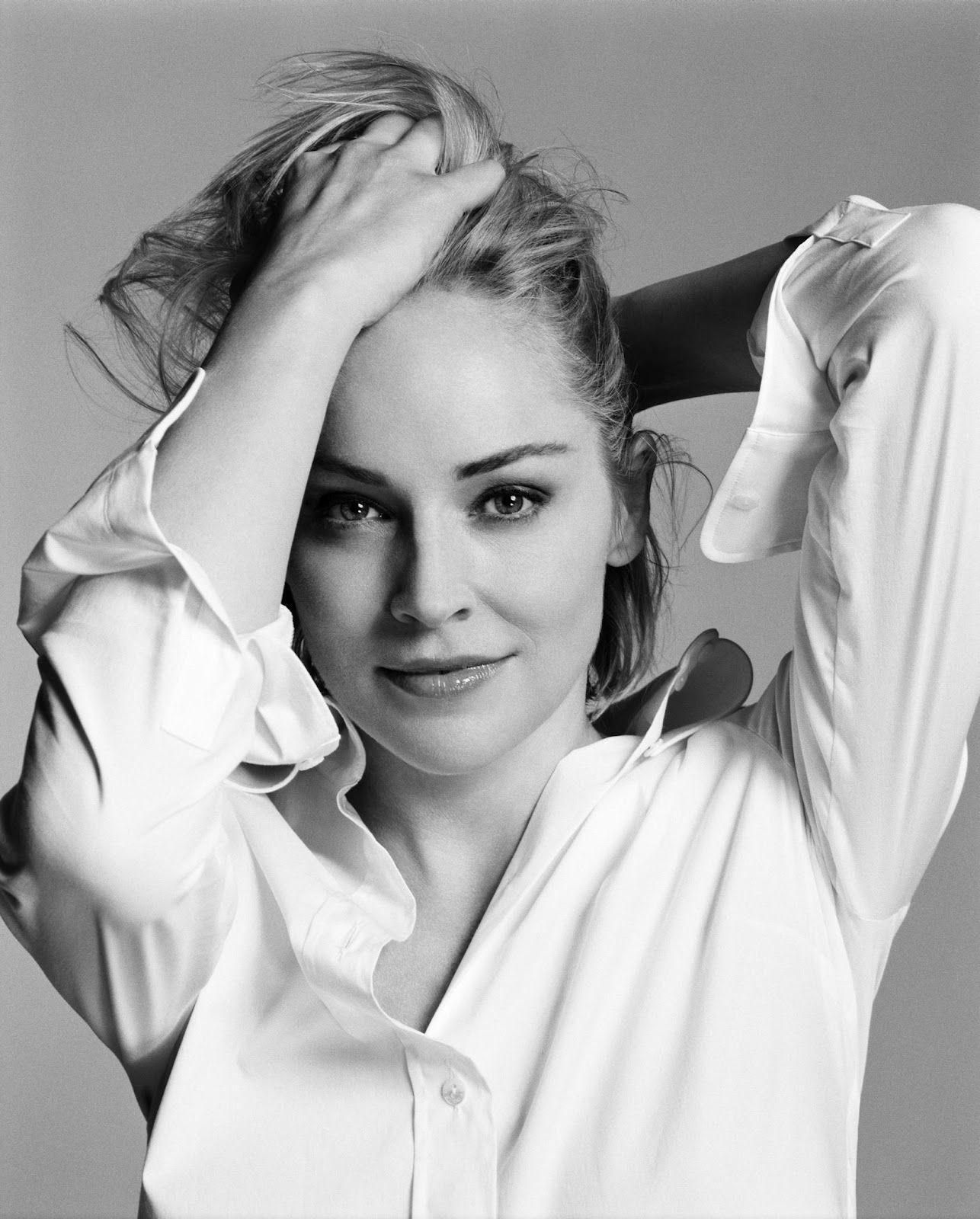 Sharon stone hd wallpapers high definition free background sharon stone young sharon stone sharon stone photos