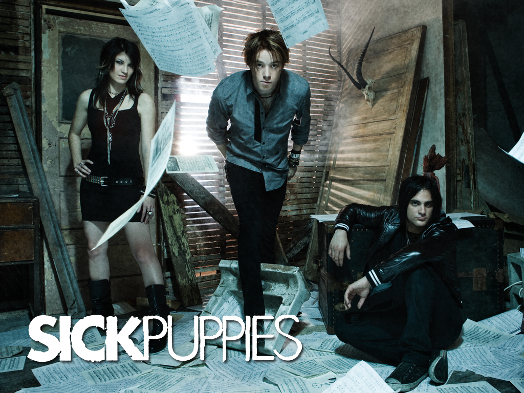 Sick puppies