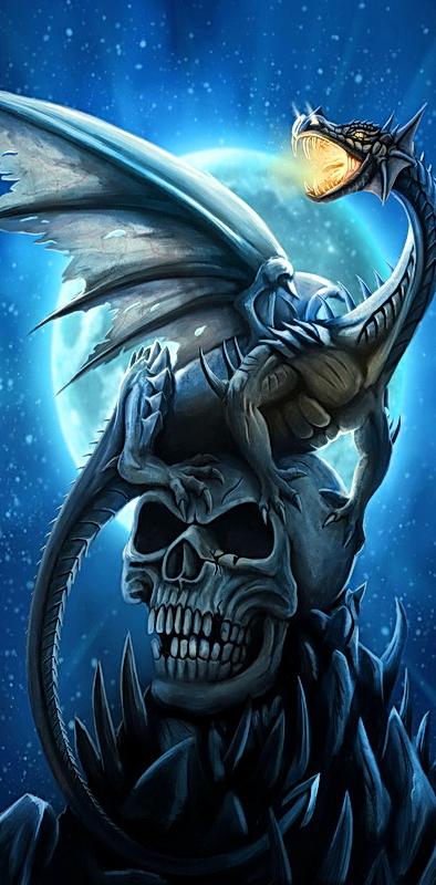 Dragon on skull wallpaper by marika