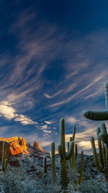 Sonoran desert wallpaper in x resolution