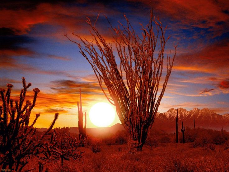 Desierto de altar sonora mãxico paysage urbain paysage coucher de soleil