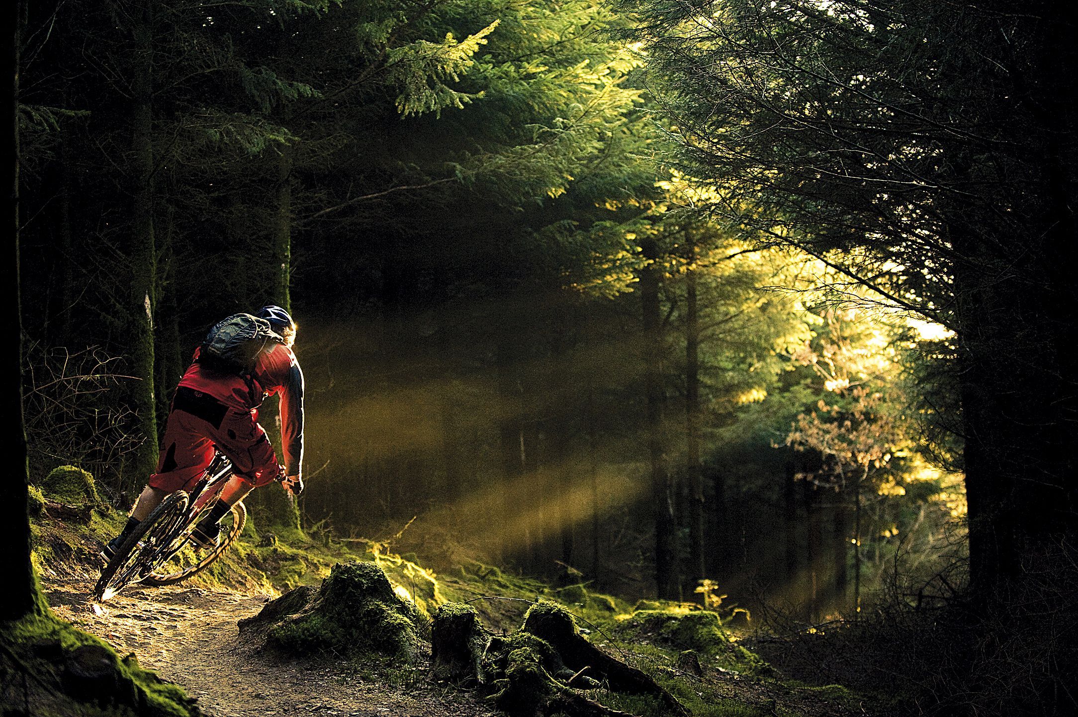 Specialized mountain bike wallpapers