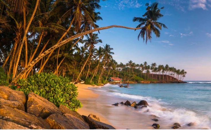 Photos that will make you wish you were in sri lanka right now beach waves wallpaper beautiful beaches